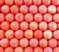 Pomegranate 12mm Sponge Coral round